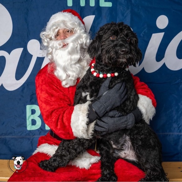 Handcrafted Beaded Dog Collar - Peppermint - red and white Collar - Picture 5 of 12
